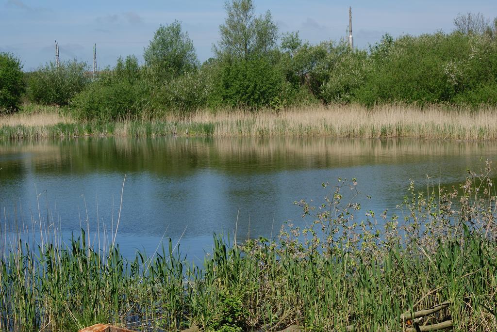Ferienwohnungen Am Kleinen See แบร์เกิน เอาฟ์ รือเจิน ภายนอก รูปภาพ